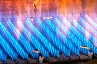 Nant Mawr gas fired boilers